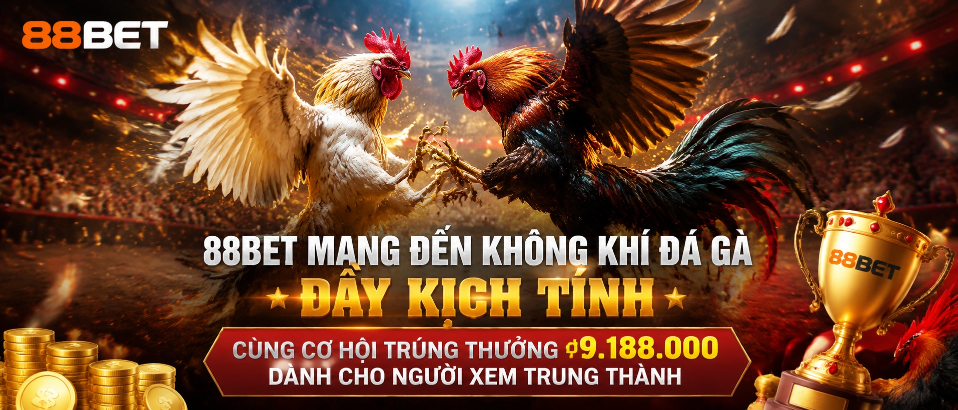 Đá Gà Campuchia trên 88Bet